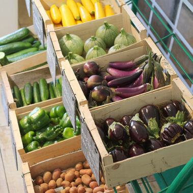 marché à la ferme de keranod, légumes bio à Lannion