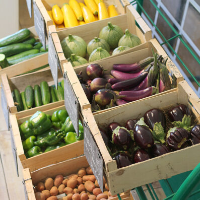 marché à la ferme de keranod, légumes bio à Lannion