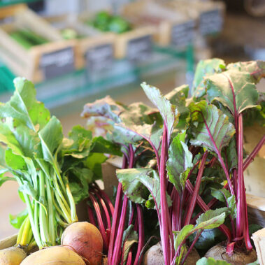 marché à la ferme de keranod, légumes bio à Lannion